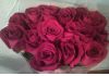 Доставка цветов. Розы по 70 рублей.
