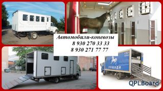      Продажа, производство автомобилей для перевозки лошадей (коневозка) на шасси ГАЗ, КАМАЗ, Hyunda
