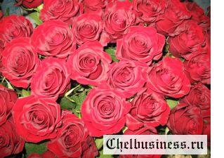 Букеты из голландских роз с доставкой